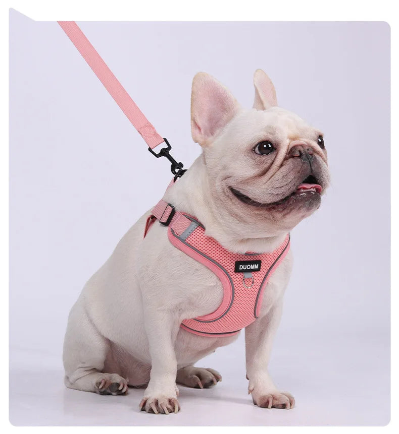 Conjunto de coleira para cães, pequeno, médio, cão, gato, peitoral ajustável, refletivo, respirável, colete de treinamento para caminhada, acessórios para animais de estimação