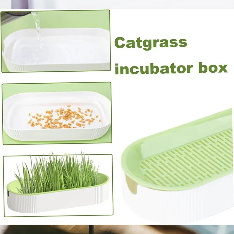 Caixa de grama hidropônica para gatos, petiscos para gatos, erva de gato, plantio hidropônico sem solo, conjunto de vasos para grama de gato para fácil crescimento