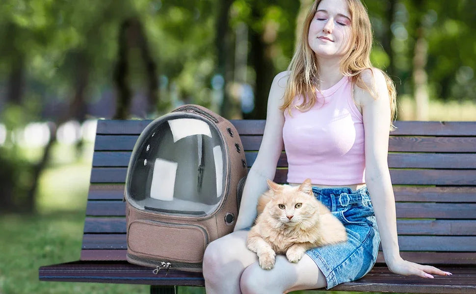 Mochila transparente para transporte de animais de estimação, essencial para viagens ao ar livre, para gatos e cães pequenos, design respirável, suprimentos premium e confortáveis para animais de estimação