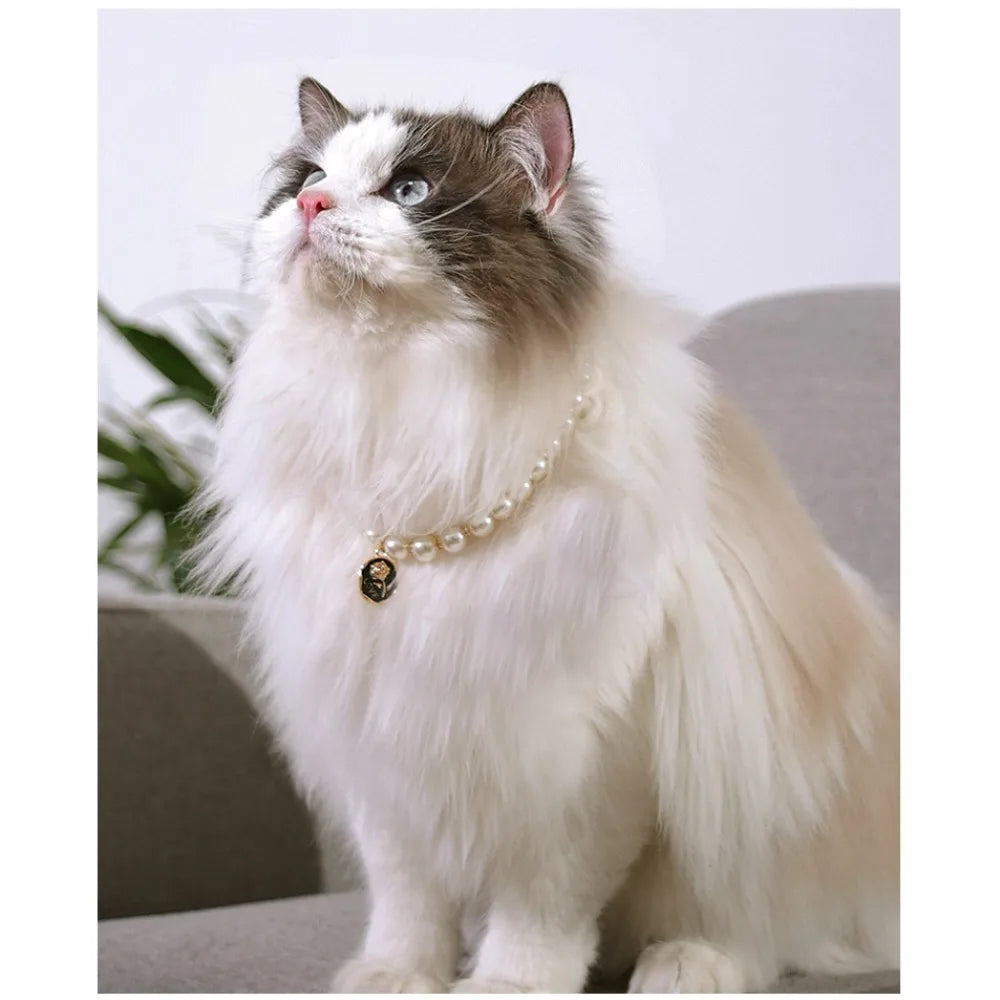 Pet Cat Collars Pearl Rose Pendant Necklace Cat Dog Pearl Collar Pet Pendant Cute High Beauty Retro Decoration Teddy Dog Collar
