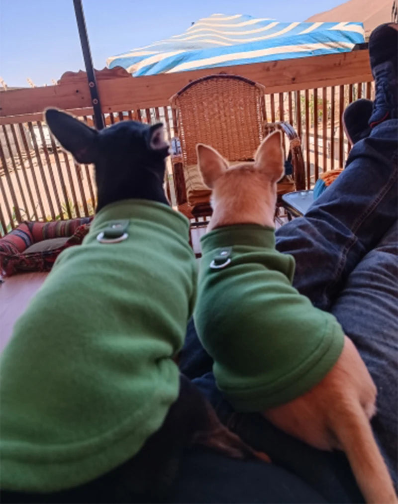 Roupas de inverno quentes de lã para cães, jaqueta macia para animais de estimação, colete com argola em D para filhotes pequenos, casaco para gatos, chihuahua, buldogue francês, fantasia de pug