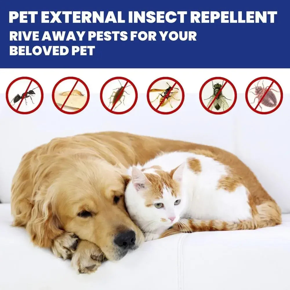 Spray removedor de pulgas para cães e gatos Limpeza da pele de animais de estimação Repelente externo de piolhos Carrapatos Spray para alívio e alívio