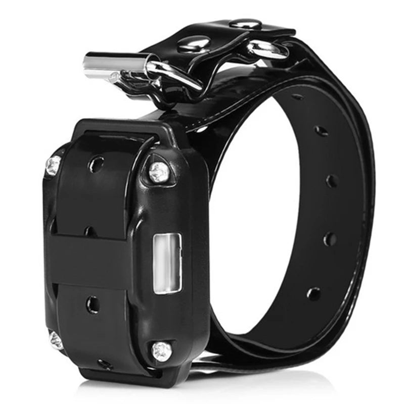 Only Electronic Collar Without Automatic Please Purchase Remote Control