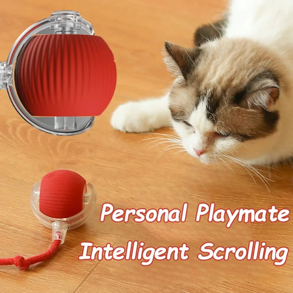 Novo brinquedo interativo para gatos, bola rolante automática, rabo falso, brinquedo elétrico inteligente recarregável para animais de estimação, treinamento para cães e gatos, imitação de rato