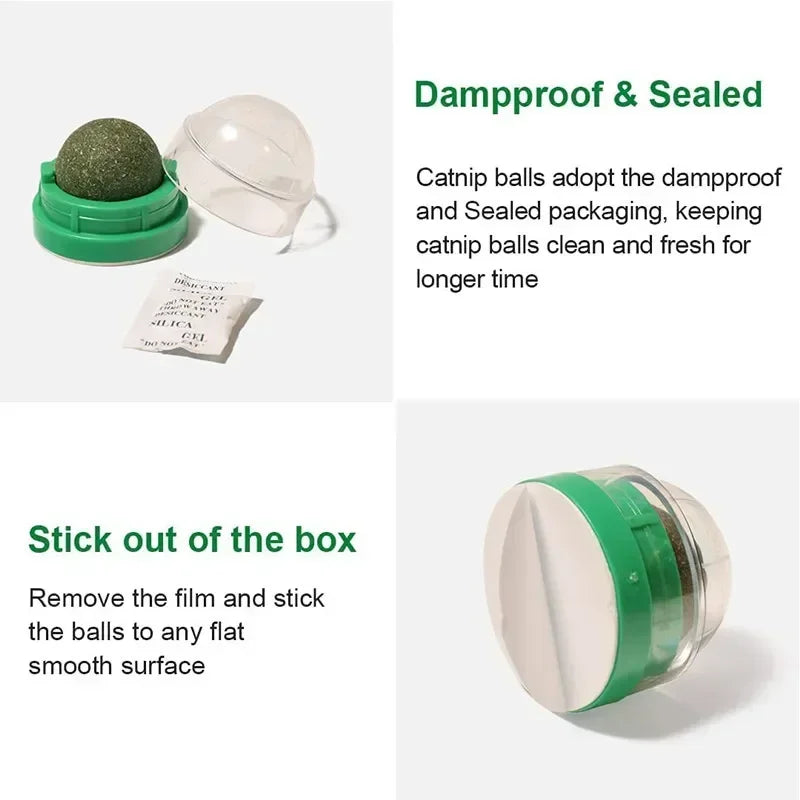 Brinquedo adesivo de parede para gatos Catnip, bola arranhadora, petiscos saudáveis e naturais, remove bolas para promover a digestão, petisco de grama para gatos