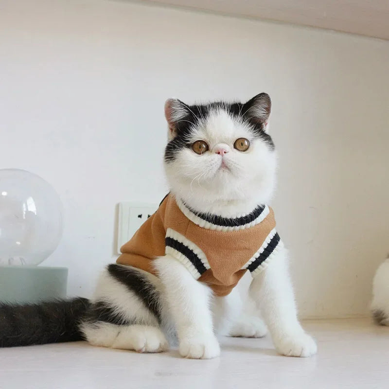 Winter Cat Dog Sweater Pullover Pet Clothes Small Dog Vest Puppy Jacket Kitty Costume Cats Outfit Warm And Cozy Pet Clothing