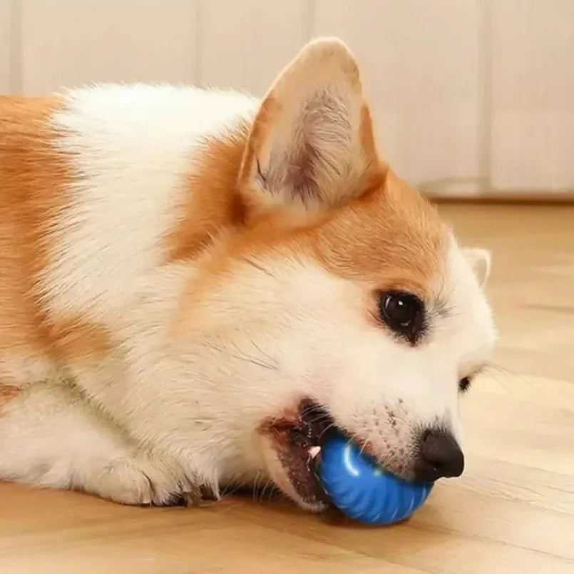 Bola de brinquedo para cachorro, bola automática de movimento e rolamento, USB, brinquedo interativo inteligente para cachorro, bola de mastigar