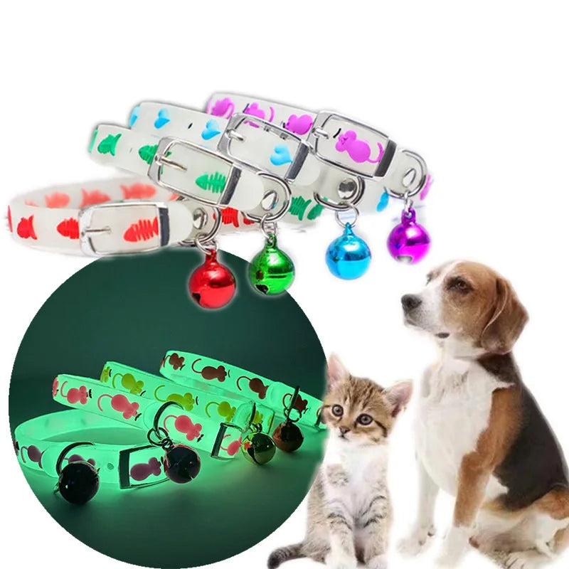 Colar luminoso para gatos, coleira pequena para cães, anti-perda, colar de silicone fluorescente, anel de pescoço, acessórios para animais de estimação