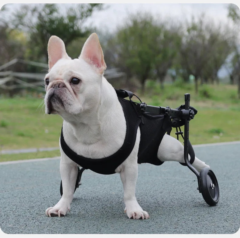Peitoral multifuncional para cães com assistência de animais de estimação, corda de tração, bicicleta assistida por animais de estimação, assistência para peito e costas