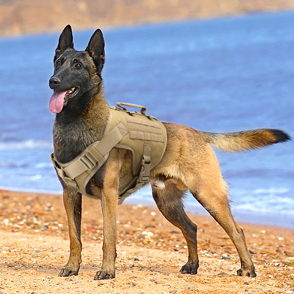 Arnês tático para cães, colete de treinamento militar para cães pastor alemão, colete molle para cães de médio e grande porte