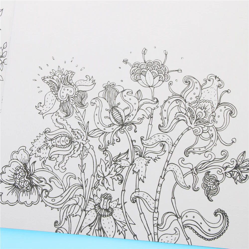 Livro de colorir Secret Garden, edição em inglês, com 24 páginas, para crianças e adultos, para aliviar o estresse, matar o tempo, pintar e desenhar