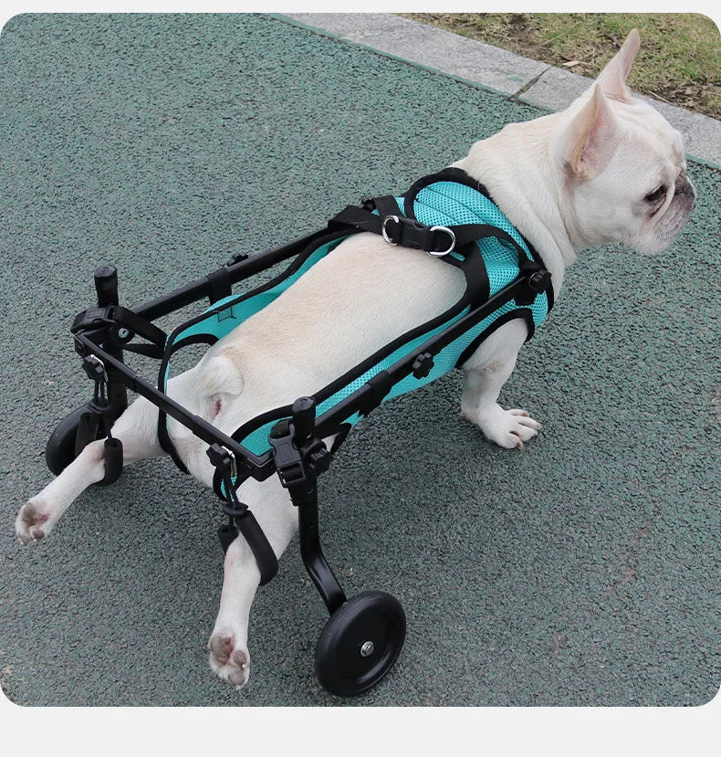 Peitoral multifuncional para cães com assistência de animais de estimação, corda de tração, bicicleta assistida por animais de estimação, assistência para peito e costas