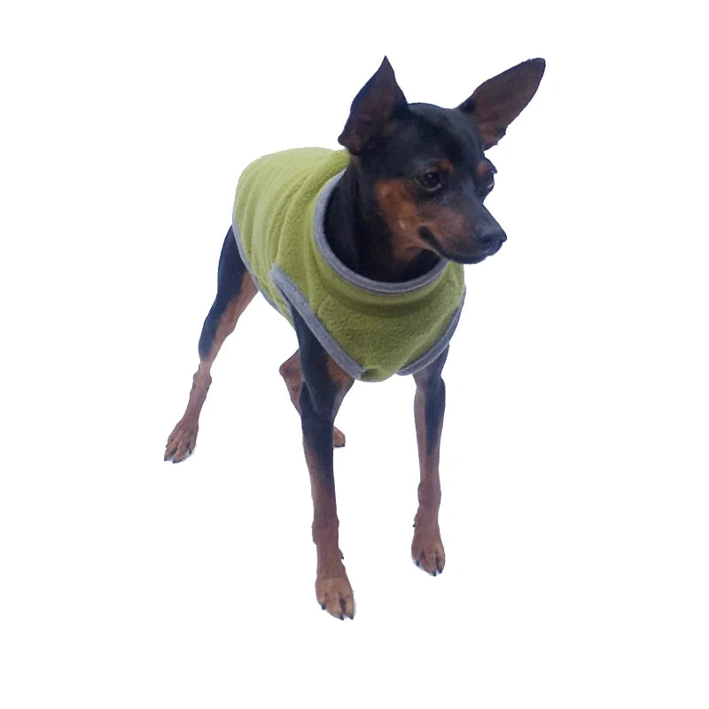 Casaco de lã quente para gatos e filhotes, roupas para cães pequenos e médios, fantasia de chihuahua e buldogue francês, colete para animais de estimação, outono e inverno