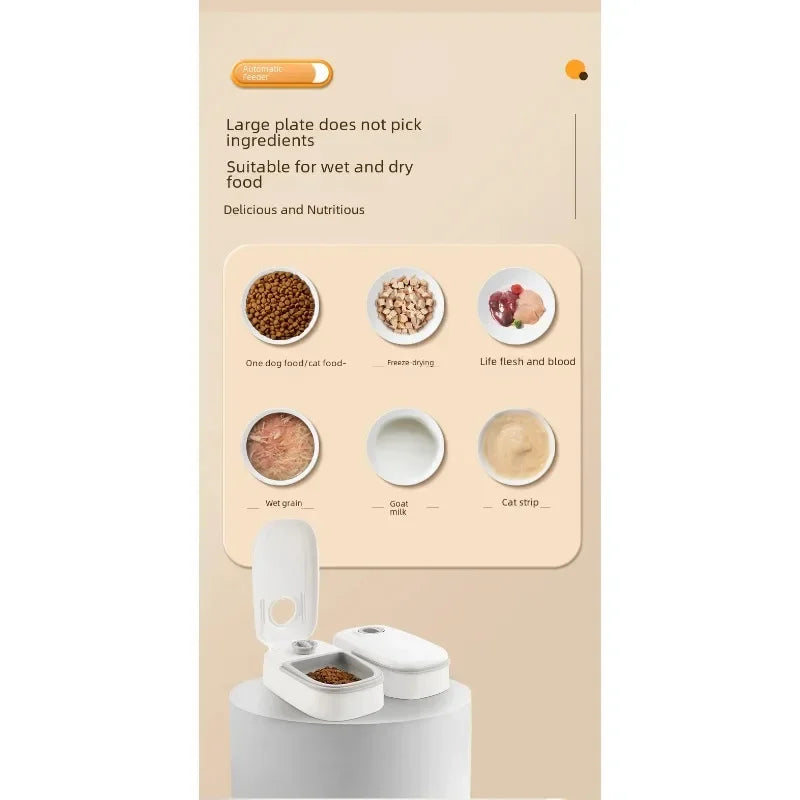 Pet Bowl Smart Timed Cat Feeder Quantitative Wet and Dry Food Single Meal Separation Home Use Automatic Feeding for Dogs & Cats