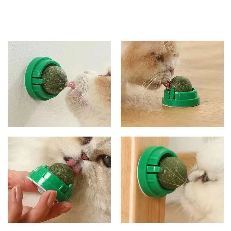 Brinquedo adesivo de parede para gatos Catnip, bola arranhadora, petiscos saudáveis ​​e naturais, remove bolas para promover a digestão, petisco de grama para gatos
