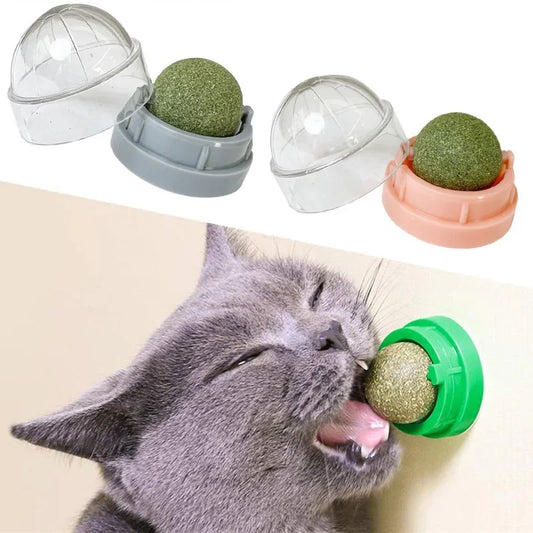 Brinquedo adesivo de parede para gatos Catnip, bola arranhadora, petiscos saudáveis ​​e naturais, remove bolas para promover a digestão, petisco de grama para gatos