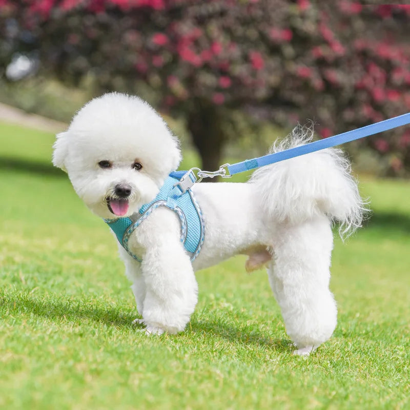 Outdoor Walking Pincher Dog Harness and Leash Set for Small Medium Dogs Chihuahua mascotas Vest Harnesses Pomerian Accessories