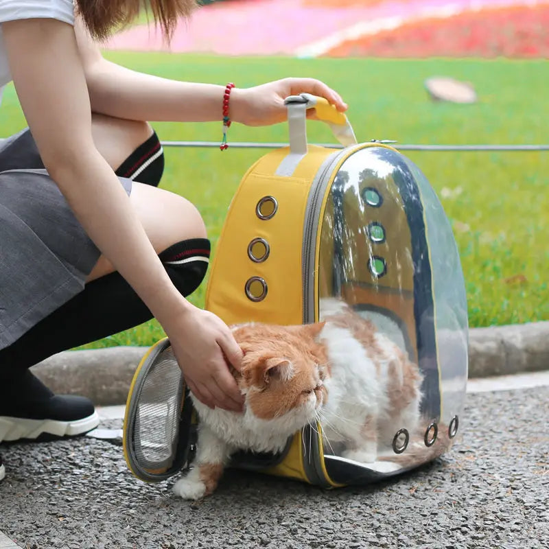 Bolsa de viagem transparente para gatos, mochila portátil para gatos, filhotes, bolsa respirável para levar suprimentos para animais de estimação