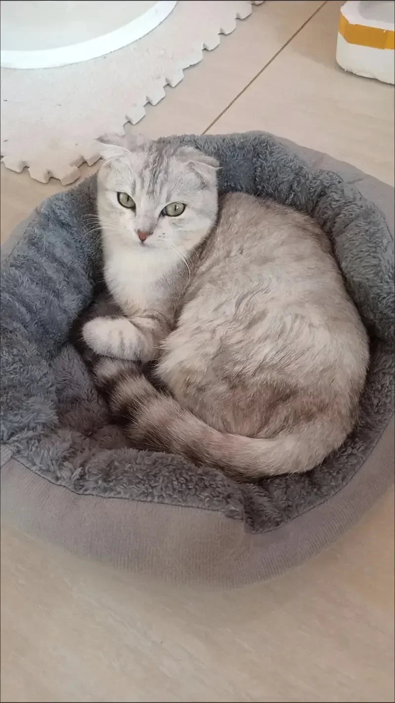 Cama macia e quente para cães, cesta para animais de estimação, casa para gatos, sofá para cães de médio e grande porte, almofada para cama de cachorro, casa para animais de estimação, acessórios e suprimentos 2025novo