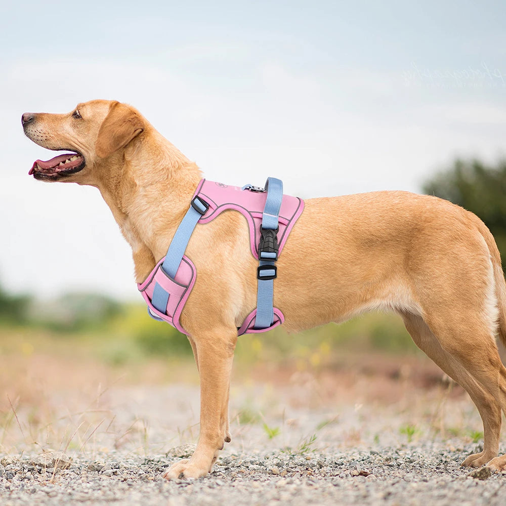 Arnês de cachorro de malha respirável, nylon refletivo, colete de treinamento durável para animais de estimação, ajustável para cães pequenos, médios e grandes