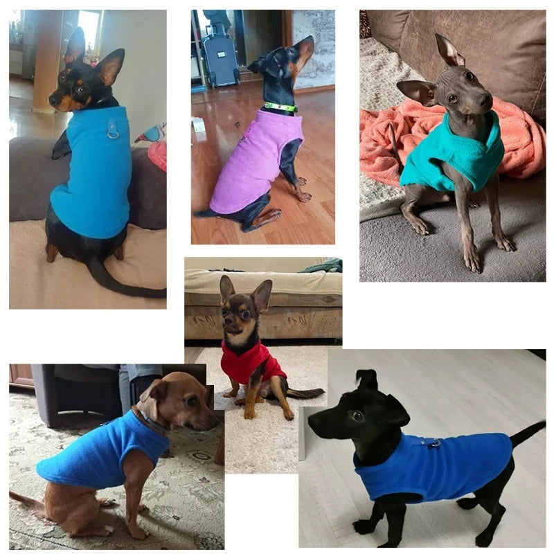Roupas de inverno quentes de lã para cães, jaqueta macia para animais de estimação, colete com argola em D para filhotes pequenos, casaco para gatos, chihuahua, buldogue francês, fantasia de pug