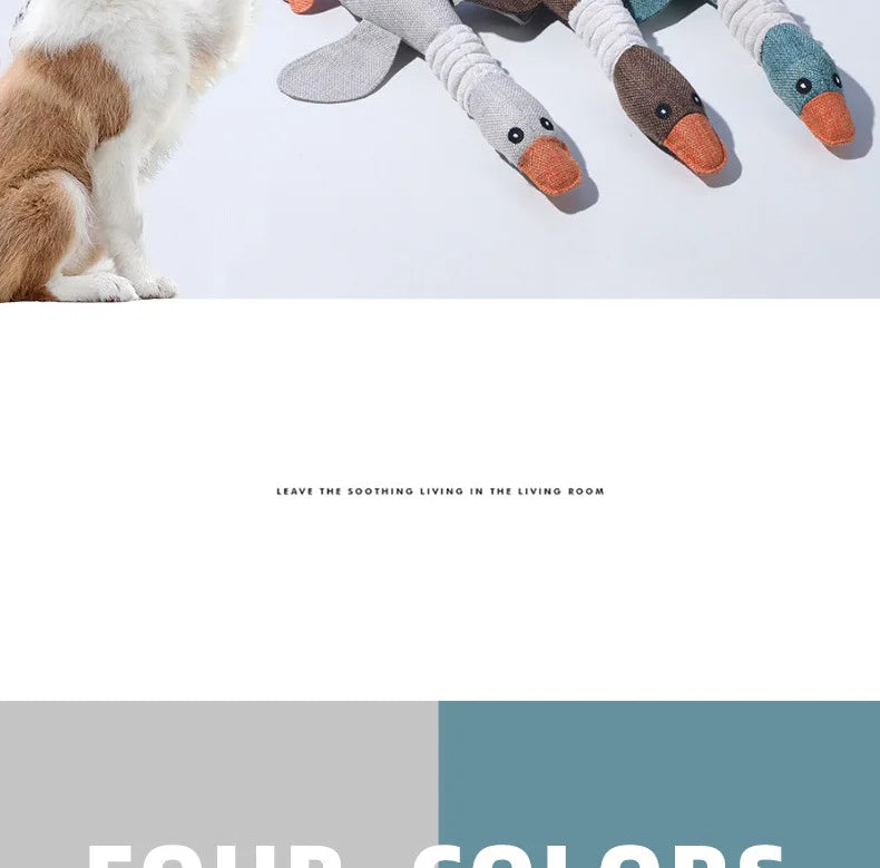 Cães mordem gansos com a boca, fazendo sons, brincando com peixes, mordendo animais de estimação, limpando os dentes, treinamento interativo para animais de estimação
