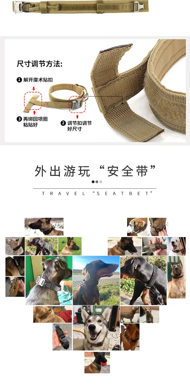 Pet Collar Tactical Collar Outdoor Training Adjustable Explosion-Proof Neck Collar Tactical Dog Collar Traction Rope