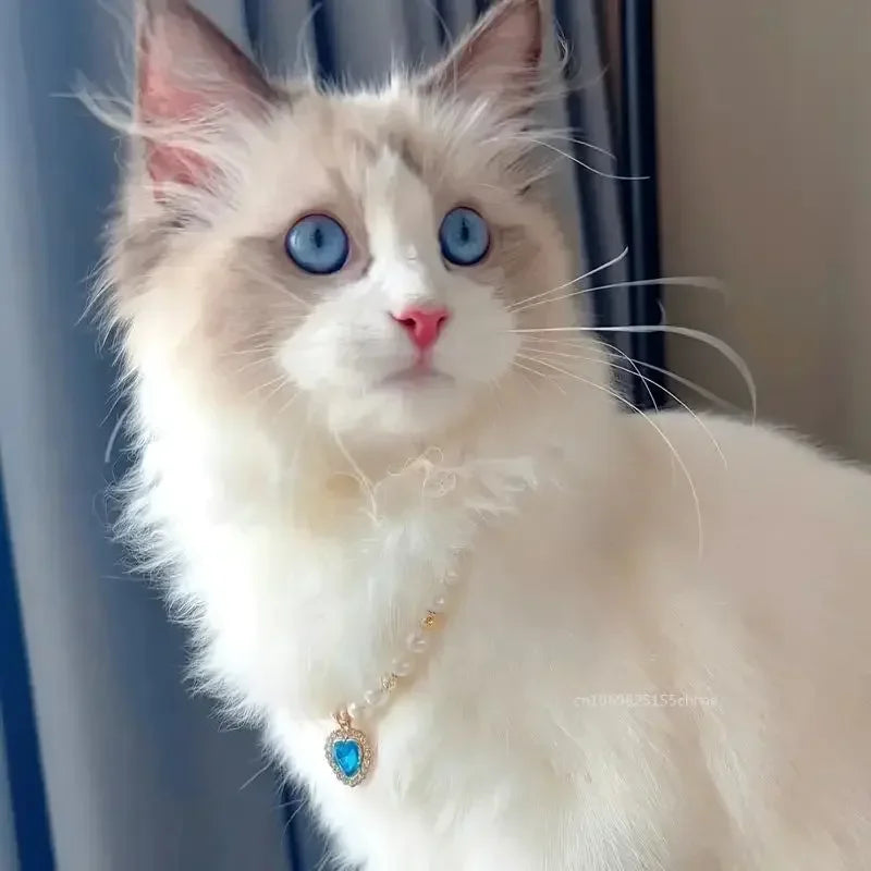 Pet Pearl Collar Dog Princess Necklace Cat Jewelry Cute Collar Puppy Accessories Dog Kitten Chain Chihuahua Wedding Jewelry Gift