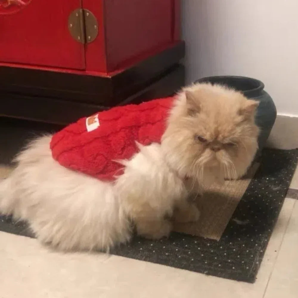 Roupas de lã macia para cães pequenos, suéter para gatos, outono e inverno, colete quente para filhotes, traje para buldogue francês e yorkshire