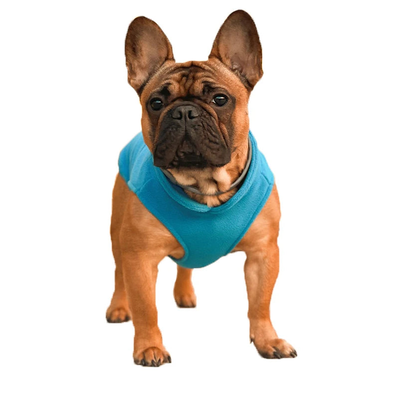 Roupas de inverno quentes de lã para cães, jaqueta macia para animais de estimação, colete com argola em D para filhotes pequenos, casaco para gatos, chihuahua, buldogue francês, fantasia de pug