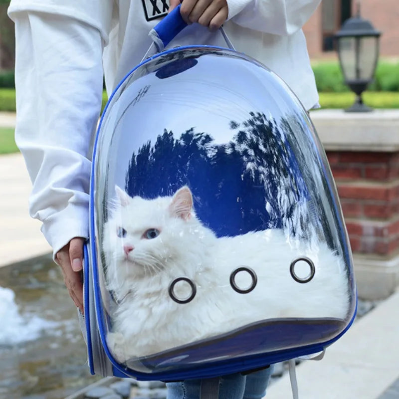 Mochila para transporte de animais de estimação Capsule Bubble, mochila transparente para transporte de animais de estimação, filhotes, gatinhos, pássaros, respirável para viagem