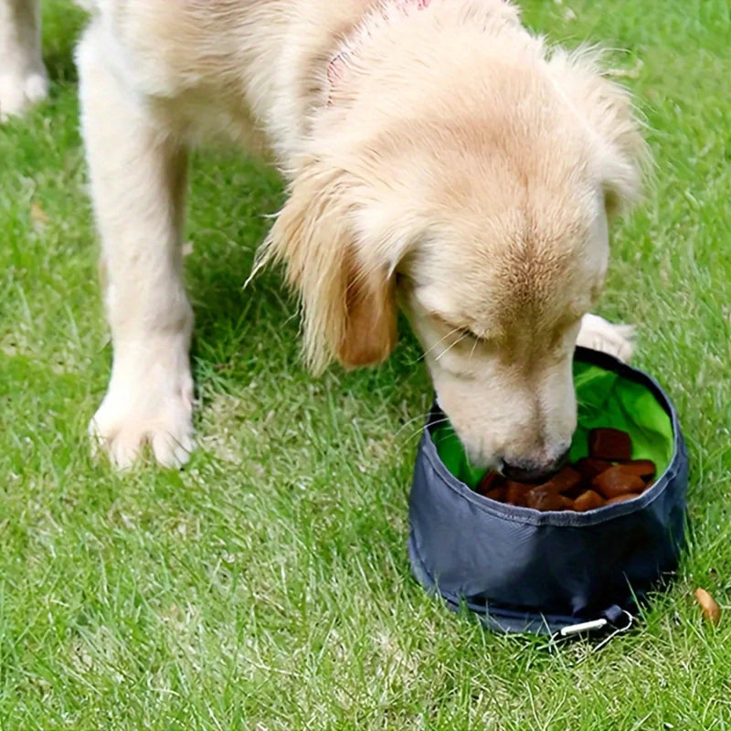 Alimentador portátil para animais de estimação, tigela dobrável e conveniente para alimentação de água para cães, filhotes e gatos, tigela dobrável para áreas externas, suprimentos para animais de estimação
