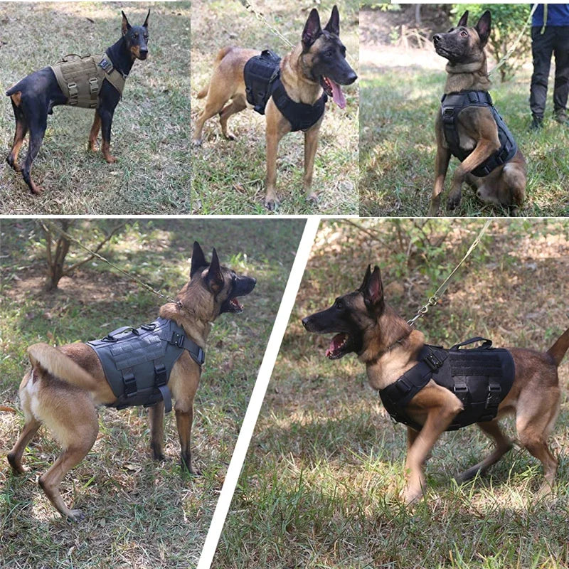 Colete militar tático para animais de estimação, pastor alemão, golden retriever, conjunto de arreios e guia para cães de todas as raças