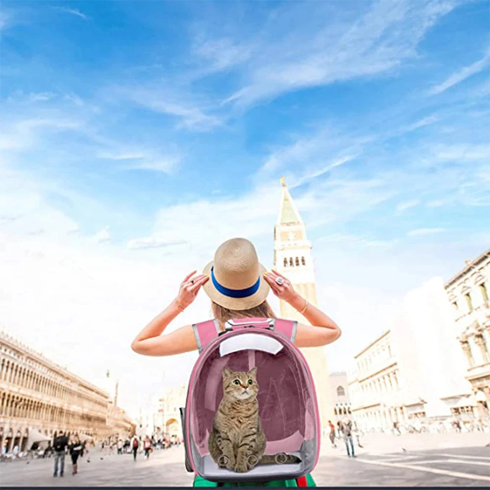 Mochila para transporte de animais de estimação, cápsula transparente, mochila para animais de estimação, filhotes, gatinhos, pássaros, transportadora respirável para viagem