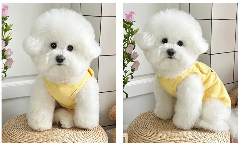 Roupas para cães pequenos, colete fino e fofo para cachorros, roupas para filhotes, roupas respiráveis ​​para chihuahua, colete para gatos, suprimentos para animais de estimação