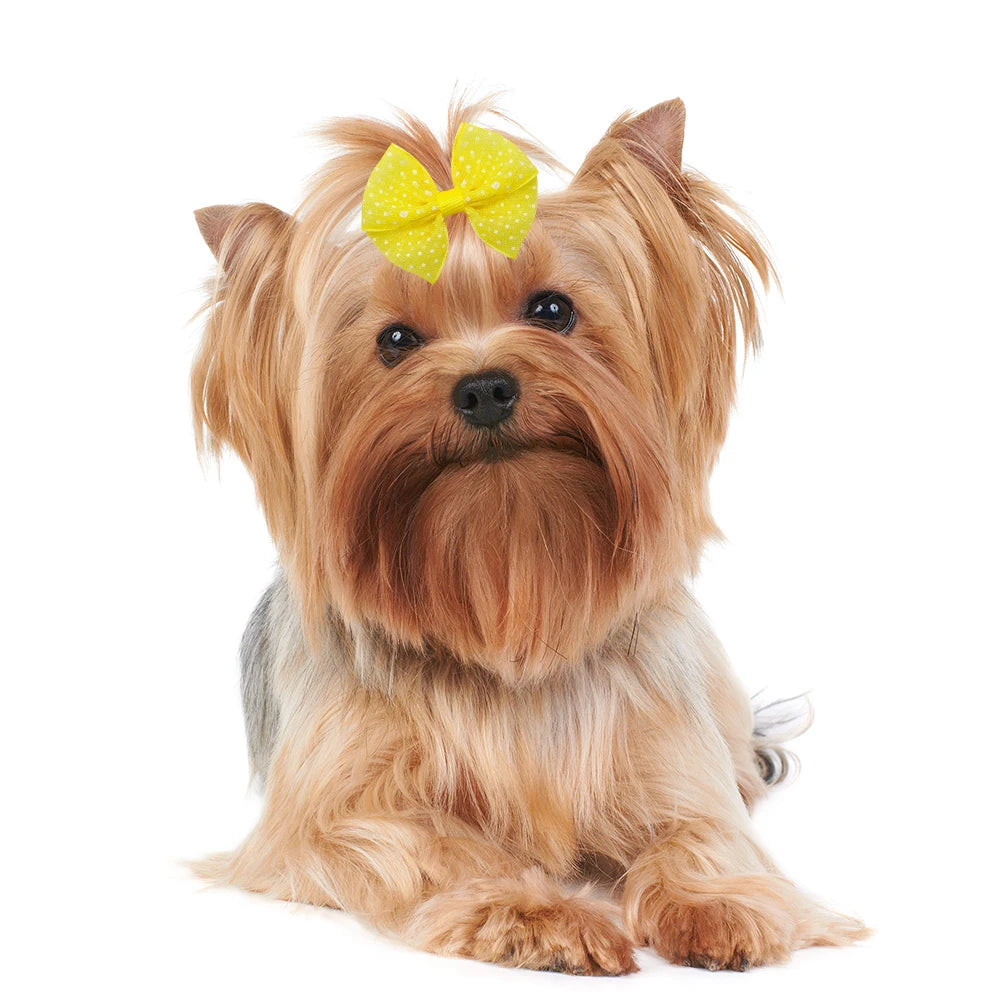 40 peças laços de renda para cachorro com elásticos pontilhados para pelo de cachorro, laço colorido para pelo de cachorro, produtos para animais de estimação
