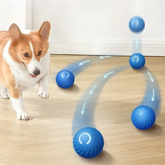 Bola de brinquedo interativa com movimento automático para cachorro, bola de brinquedo inteligente USB que salta e gira, para mastigar cachorros, brinquedos de bola para filhotes