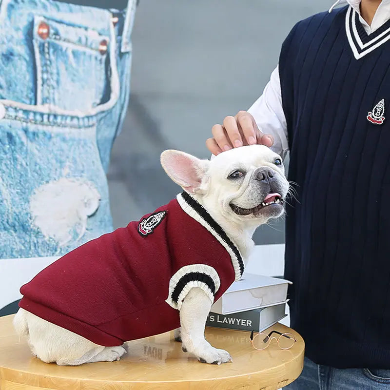 Winter Warm Pet Dog Sweater College Style V-neck Puppy Knitwear for Small Large Doggy Coat French Bulldog Vest Chihuahua Clothes