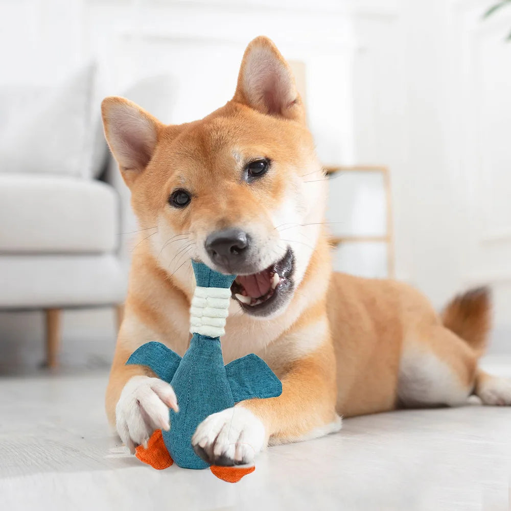 Brinquedos para animais de estimação Gansos Resistente a mordidas de som Ranger de dentes Limpeza de dentes para cães e gatos Suprimentos para animais de estimação