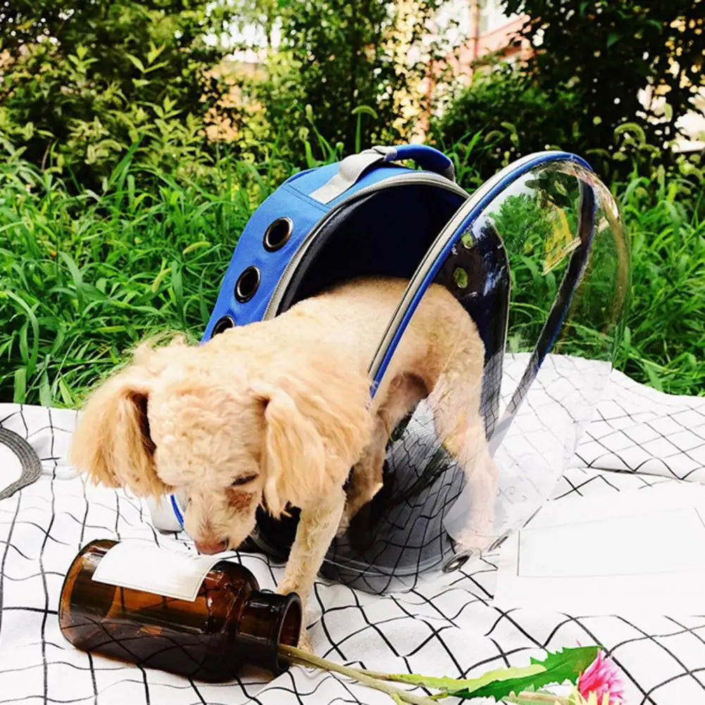 O fabricante fornece diretamente bolsas para gatos, mochilas para animais de estimação, cápsulas espaciais portáteis e transparentes, suprimentos para gatos, mochilas respiráveis