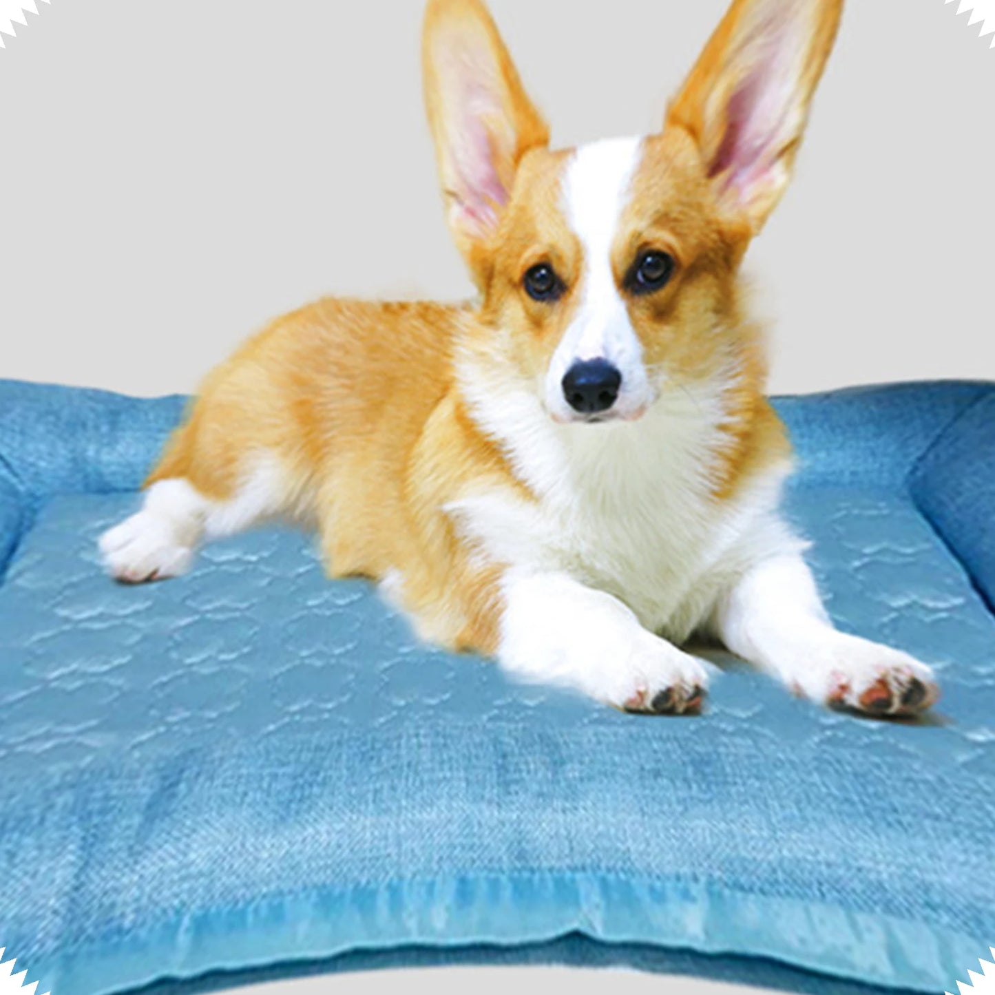 Tapete refrescante para animais de estimação, tapete respirável para dormir em cães e gatos, almofada para animais de estimação lavável e auto-refrescante para animais de estimação de pequeno e médio porte