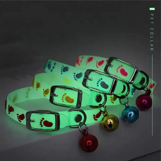 Coleira de silicone luminosa fluorescente para animais de estimação, coleira noturna antiperda para cães e gatos, filhotes e gatinhos, suprimentos para animais de estimação ao ar livre