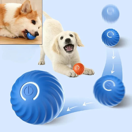 Bola de brinquedo para cachorro, bola automática de movimento e rolamento, USB, brinquedo interativo inteligente para cachorro, bola de mastigar