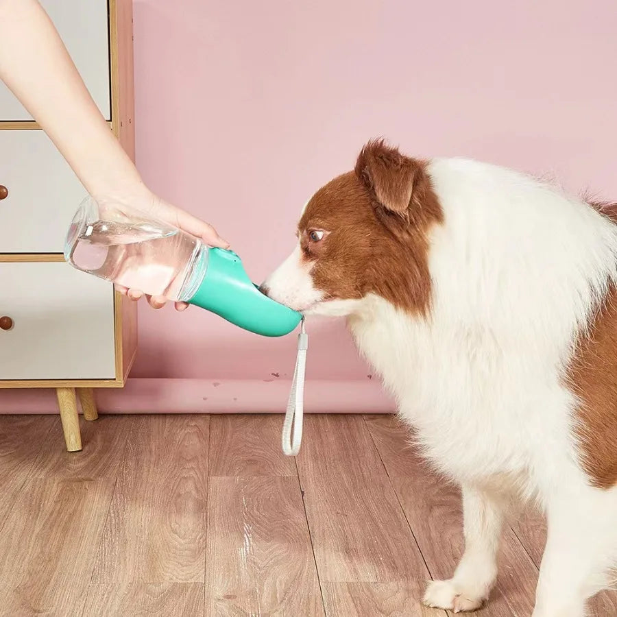 Garrafa de água portátil à prova de vazamentos para cães, ideal para aventuras ao ar livre