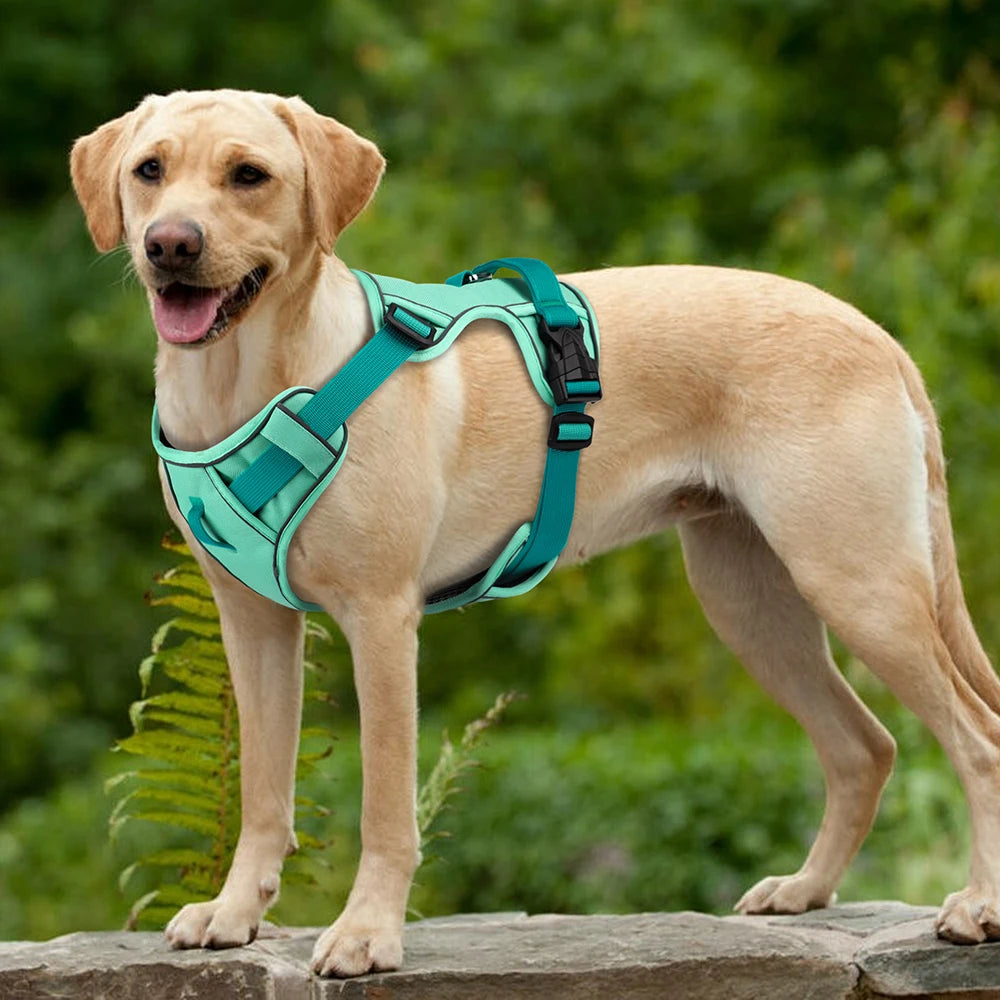 Arnês de cachorro de malha respirável, nylon refletivo, colete de treinamento durável para animais de estimação, ajustável para cães pequenos, médios e grandes