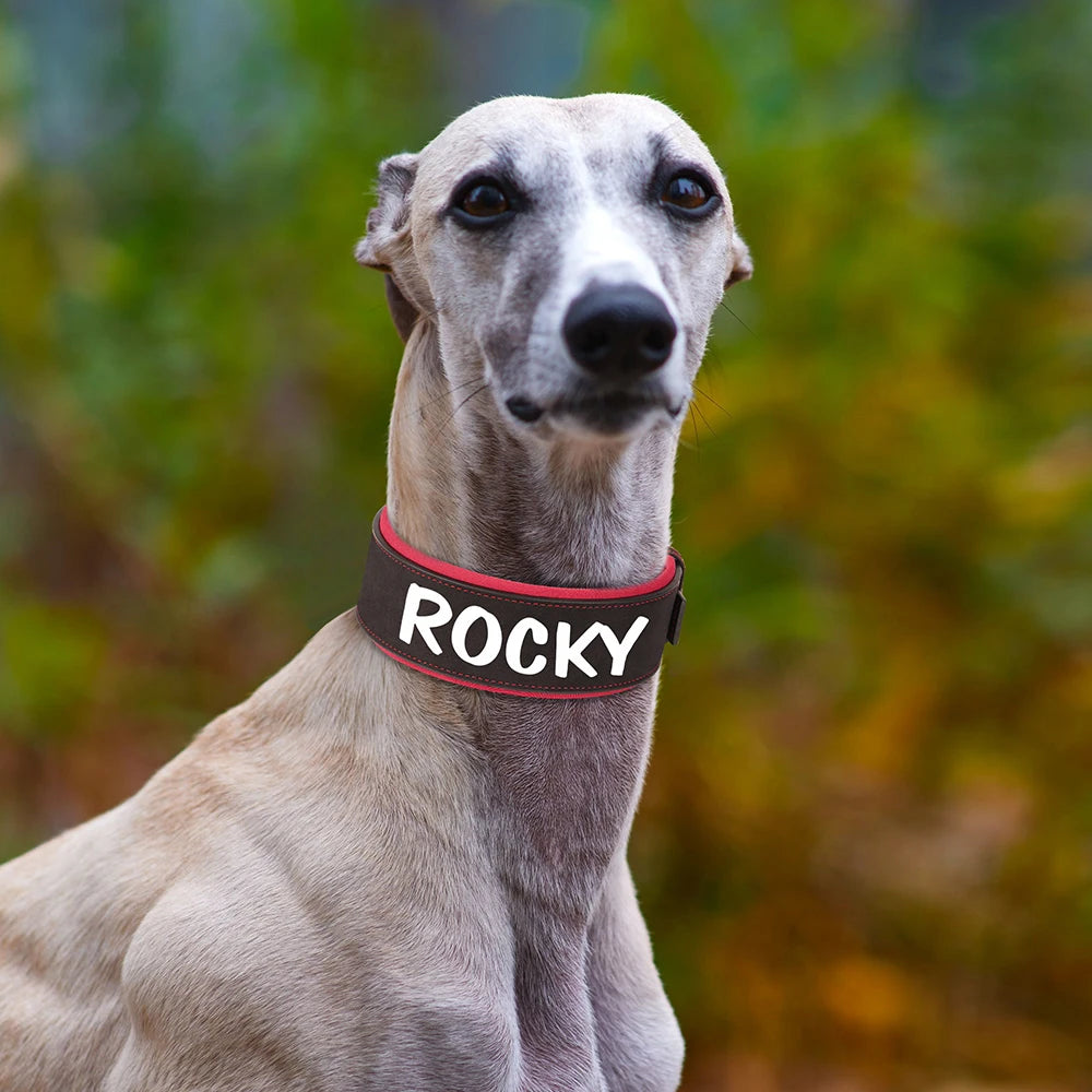 Coleira de couro personalizada para cães, coleira de identificação larga e acolchoada personalizada, nome e número impressos gratuitamente para cães de médio e grande porte, como Greyhound