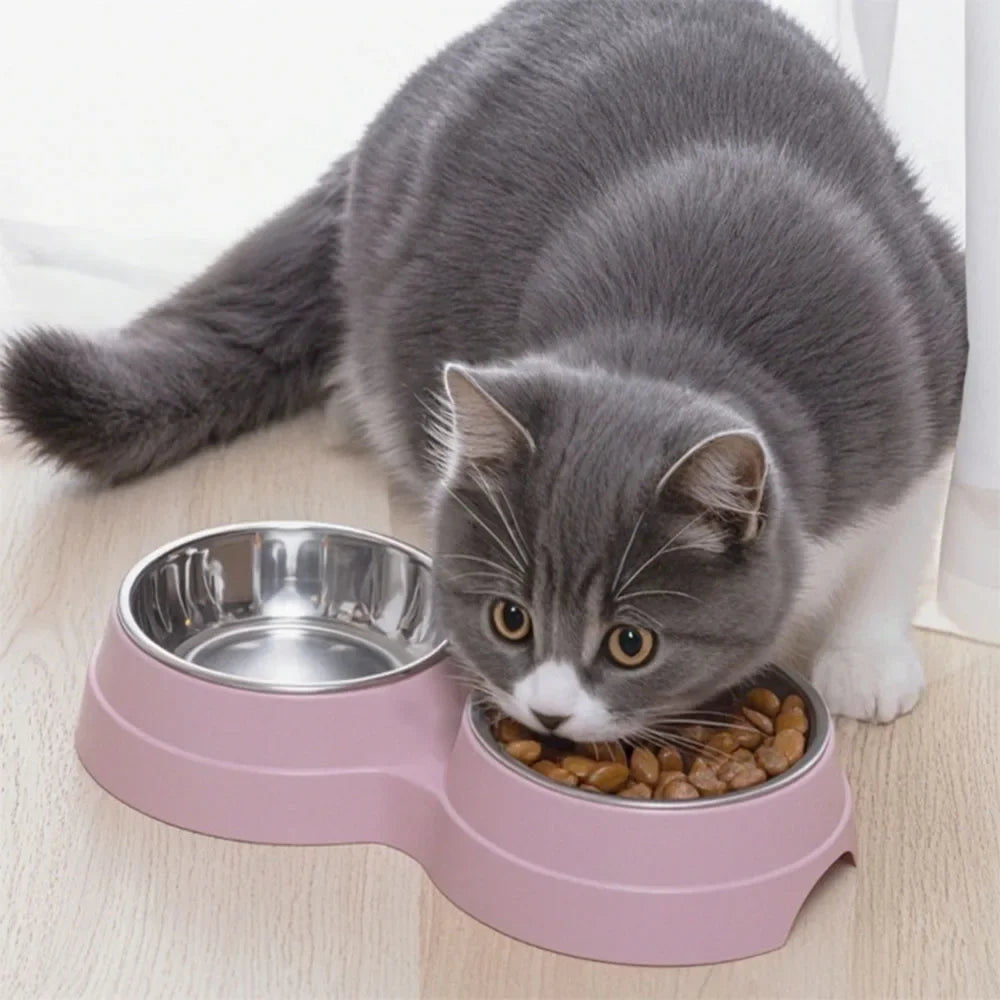 Tigela dupla para cães e gatos - Tigela 2 em 1 para comida e água para gatos médios, filhotes e suprimentos para alimentação de animais de estimação