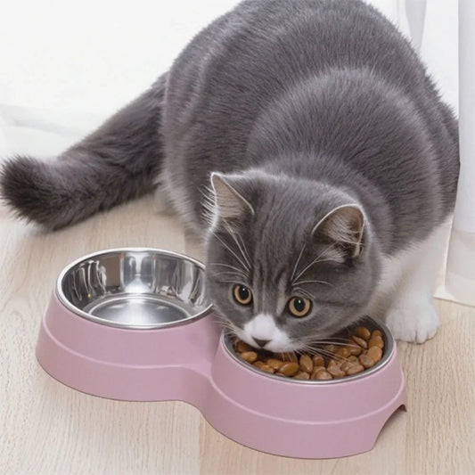 Tigela dupla para cães e gatos - Tigela 2 em 1 para comida e água para gatos médios, filhotes e suprimentos para alimentação de animais de estimação