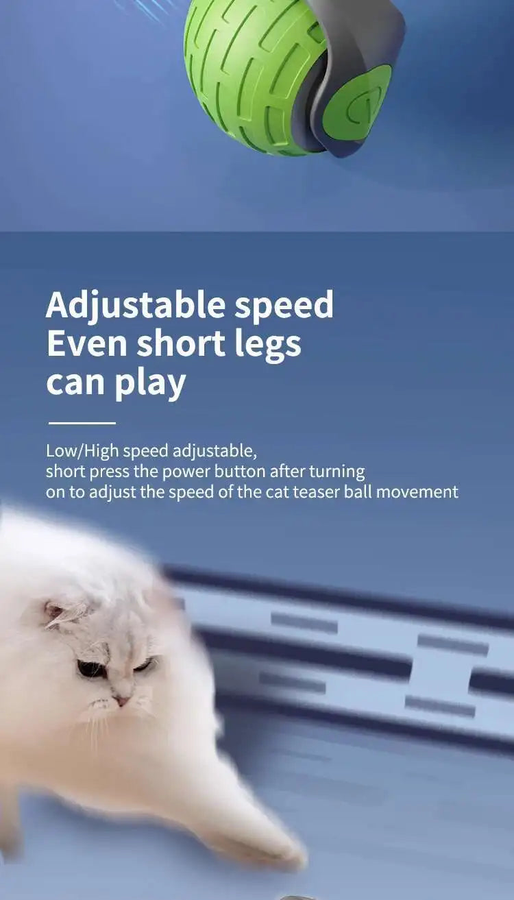 Bola de brinquedo interativa inteligente para gatos, bola rolante automática com cauda falsa, brinquedo elétrico recarregável por USB para animais de estimação, para provocação e treinamento