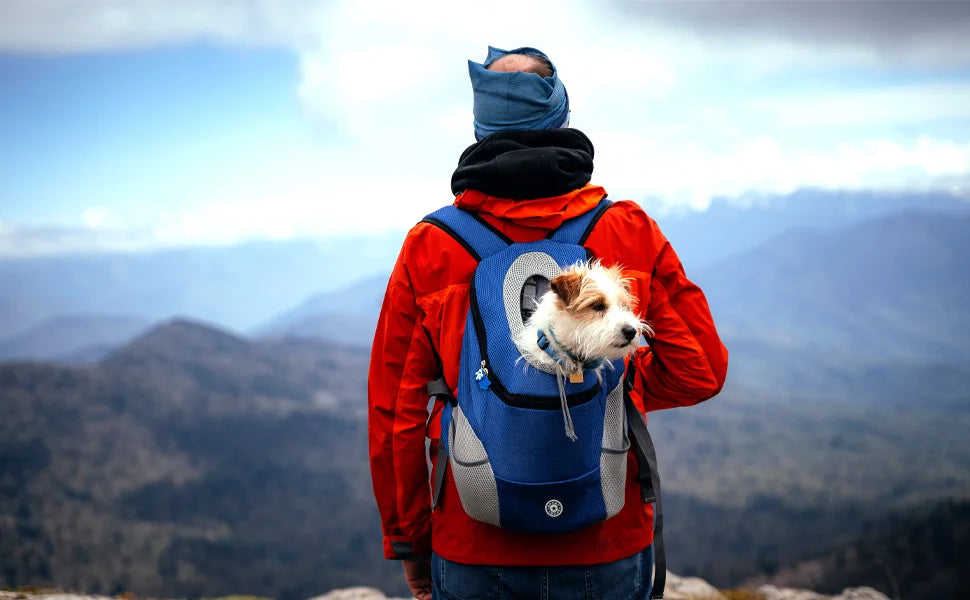 Mochila para transporte de cães, mochila transportadora de animais de estimação, mochila frontal confortável para motocicletas e caminhadas, bolsa de transporte para cães de estimação